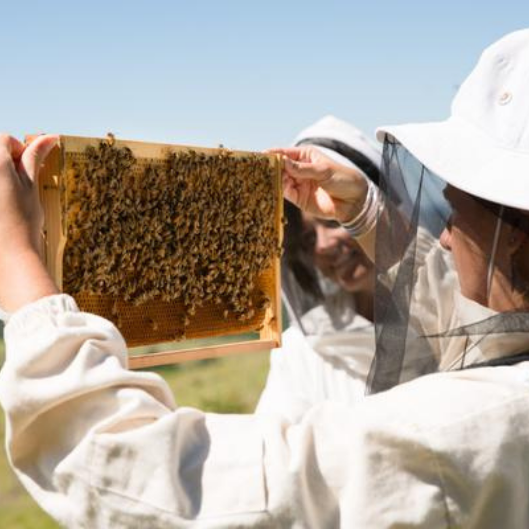 Top 10 Best Gifts for Beekeepers